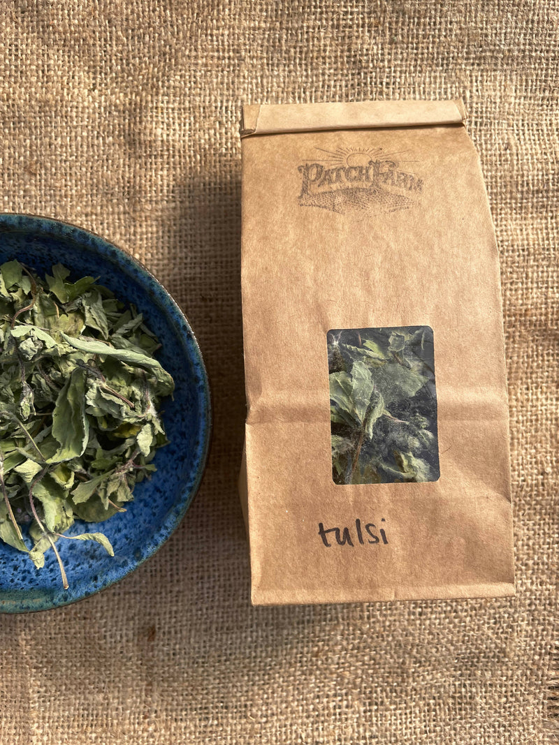 tulsi2