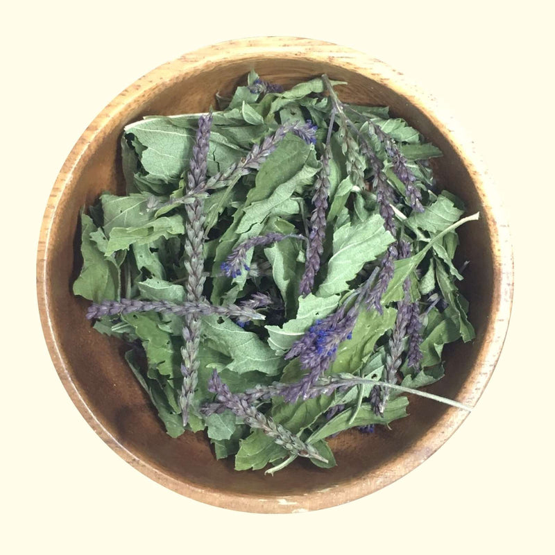 Blue Vervain - Certified OG