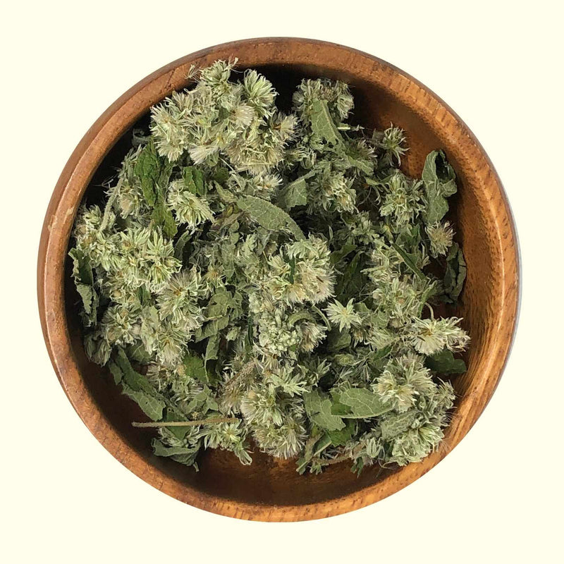 Boneset